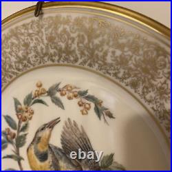 COMPLETE SET 9 LENOX, BOEHM Limited Edition 1970 1981 Bird Plates STUNNING