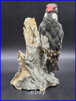 Capodimonte Italy Vintage Porcelain Woodpecker Bird Figurine Signed 96/500
