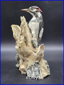 Capodimonte Italy Vintage Porcelain Woodpecker Bird Figurine Signed 96/500