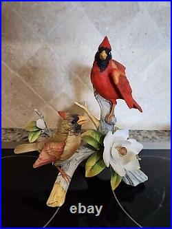 Cardinal Bird Andrea by Sadek Porcelain, Japan 6229