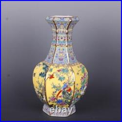 Chimese Enamel porcelain Pottery hexagon Flower Bird peacock peafowl Bottle Vase
