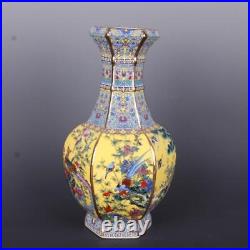 Chimese Enamel porcelain Pottery hexagon Flower Bird peacock peafowl Bottle Vase