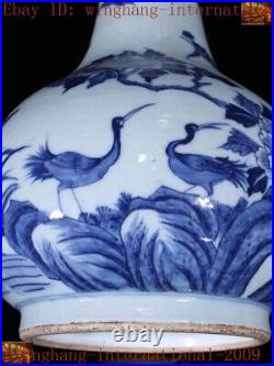 China Blue&White porcelain lotus Phoenix bird statue Zun Cup Bottle Pot Vase Jar