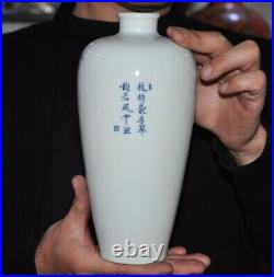China Chinese ancient Blue&white porcelain bird Zun Cup Bottle Pot Vase Statue