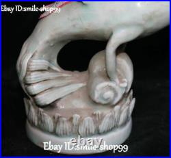 China Color Porcelain Feng Shui Phoenix Phenix Fenghuang Bird Animal Statue Pair