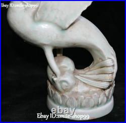 China Color Porcelain Feng Shui Phoenix Phenix Fenghuang Bird Animal Statue Pair
