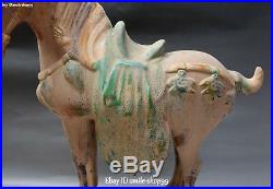 China Tang Sancai Pottery Porcelain Bird Zodiac Year Tang Horse Animal Statue