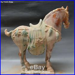 China Tang Sancai Pottery Porcelain Bird Zodiac Year Tang Horse Animal Statue