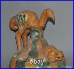 China Tangsancai pottery porcelain Luck animal bird Frog statue reflux bottle
