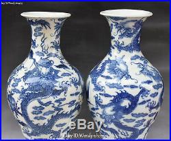 China White Blue Porcelain Cranes Bird Dragon Lion Flower Vase Bottle Pot Pair
