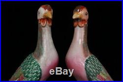 Chinese A pair Beautiful Famille Rose Porcelain peacock