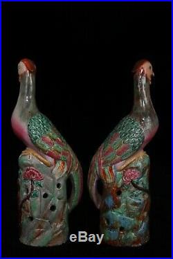 Chinese A pair Beautiful Famille Rose Porcelain peacock