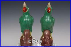 Chinese Beautiful Pair Famille Rose Porcelain Parrot Statues