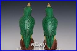 Chinese Beautiful Pair Famille Rose Porcelain Parrot Statues
