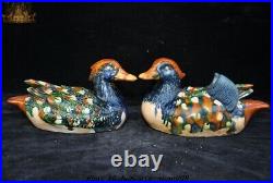 Chinese Dynasty Tang Sancai Porcelain mandarin duck Auspicious bird Statue Pair