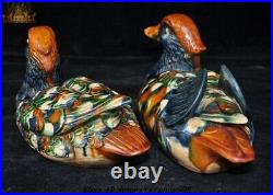 Chinese Dynasty Tang Sancai Porcelain mandarin duck Auspicious bird Statue Pair