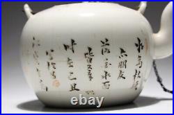 Chinese Famille Rose Porcelain Bird Pattern Teapot