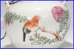 Chinese Famille Rose Porcelain Bird Pattern Teapot