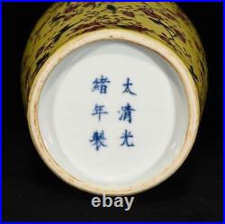 Chinese Handmade Painting GuangXu Famille Rose Porcelain Flowers Bird Vase