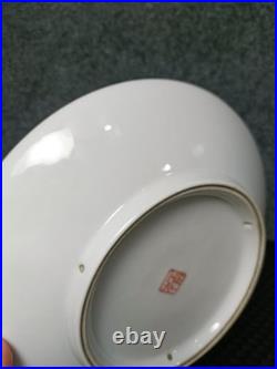 Chinese Light Colorful Porcelain Hand Painted Flower and Bird Plate 2672