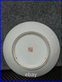 Chinese Light Colorful Porcelain Hand Painted Flower and Bird Plate 2672