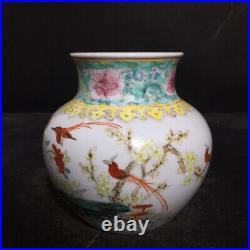 Chinese Pastel Porcelain HandPainted Exquisite Flowers&Birds Vase 21031