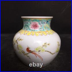 Chinese Pastel Porcelain HandPainted Exquisite Flowers&Birds Vase 21031