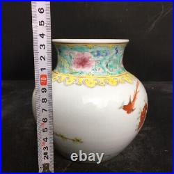 Chinese Pastel Porcelain HandPainted Exquisite Flowers&Birds Vase 21031