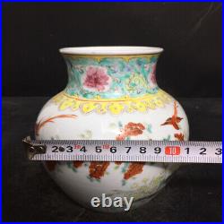 Chinese Pastel Porcelain HandPainted Exquisite Flowers&Birds Vase 21031