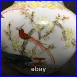 Chinese Pastel Porcelain HandPainted Exquisite Flowers&Birds Vase 21031