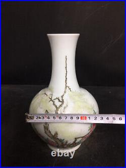 Chinese Pastel Porcelain HandPainted Exquisite Flowers&Birds Vase 21257