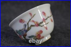Chinese Pastel Porcelain Hand Painted Flower and Bird Pattern Cup 2553