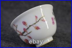 Chinese Pastel Porcelain Hand Painted Flower and Bird Pattern Cup 2553