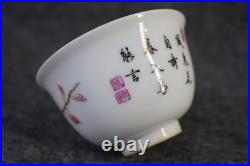 Chinese Pastel Porcelain Hand Painted Flower and Bird Pattern Cup 2553