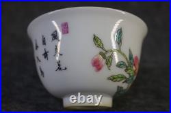 Chinese Pastel Porcelain Hand Painted Flower and Bird Pattern Cup 2553