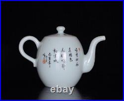 Chinese Pastel Porcelain Hand Painted Flower and Bird Pattern Teapot 20144