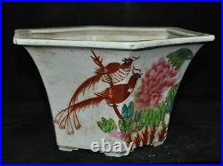 Chinese WuCai porcelain bird Magpie statue Bonsai plant Potted plants Flower Pot