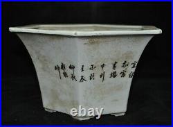 Chinese WuCai porcelain bird Magpie statue Bonsai plant Potted plants Flower Pot