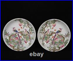 Collectable Art Hand Painting Famille Rose Porcelain Bird Plate