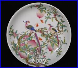 Collectable Art Hand Painting Famille Rose Porcelain Bird Plate