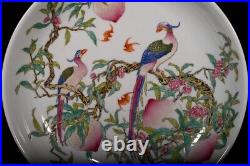 Collectable Art Hand Painting Famille Rose Porcelain Bird Plate