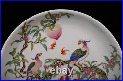 Collectable Art Hand Painting Famille Rose Porcelain Bird Plate