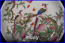 Collectable Art Hand Painting Famille Rose Porcelain Bird Plate