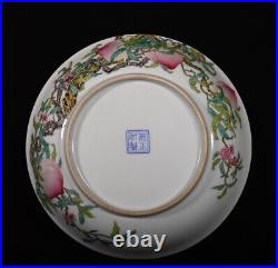 Collectable Art Hand Painting Famille Rose Porcelain Bird Plate