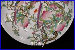 Collectable Art Hand Painting Famille Rose Porcelain Bird Plate