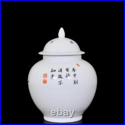 Collectable Art Hand Painting Famille Rose Porcelain Bird Pot