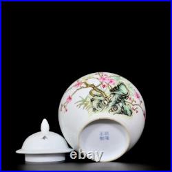 Collectable Art Hand Painting Famille Rose Porcelain Bird Pot
