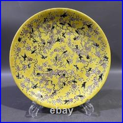 Collectable Art Handmade Painting GuangXuFamille Rose Porcelain Bird Plate