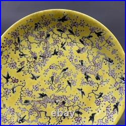 Collectable Art Handmade Painting GuangXuFamille Rose Porcelain Bird Plate