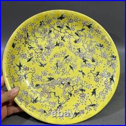 Collectable Art Handmade Painting GuangXuFamille Rose Porcelain Bird Plate